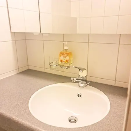 公寓 Sofia - Aare Jungfrau Ag 维尔德斯韦尔