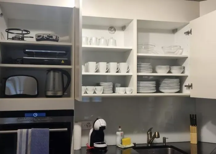 Sofia - Aare Jungfrau Ag 公寓 维尔德斯韦尔